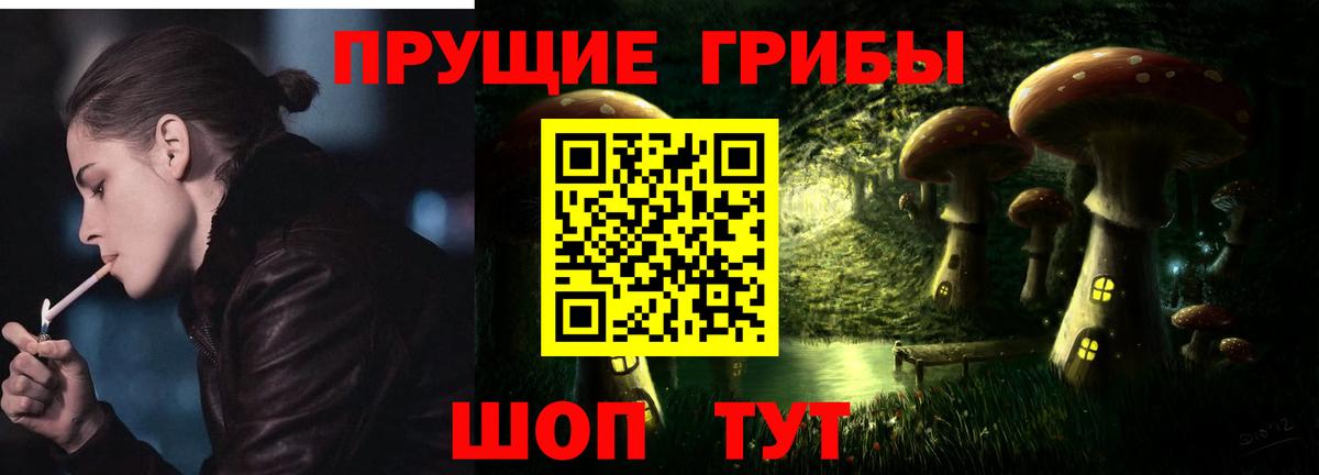 Галлюциногенные грибы Psilocybe  Галлюциногенные грибы Psilocybine cubensis  Вход с VPN  Георгиевск 